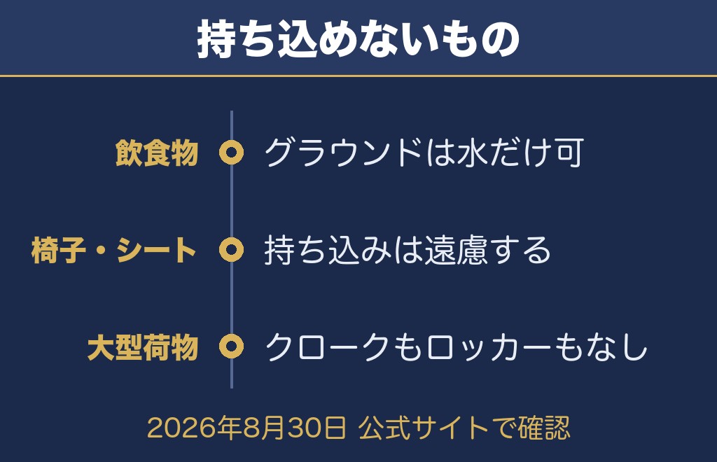 埼スタ花火2026の当日の流れと持ち物・注意事項