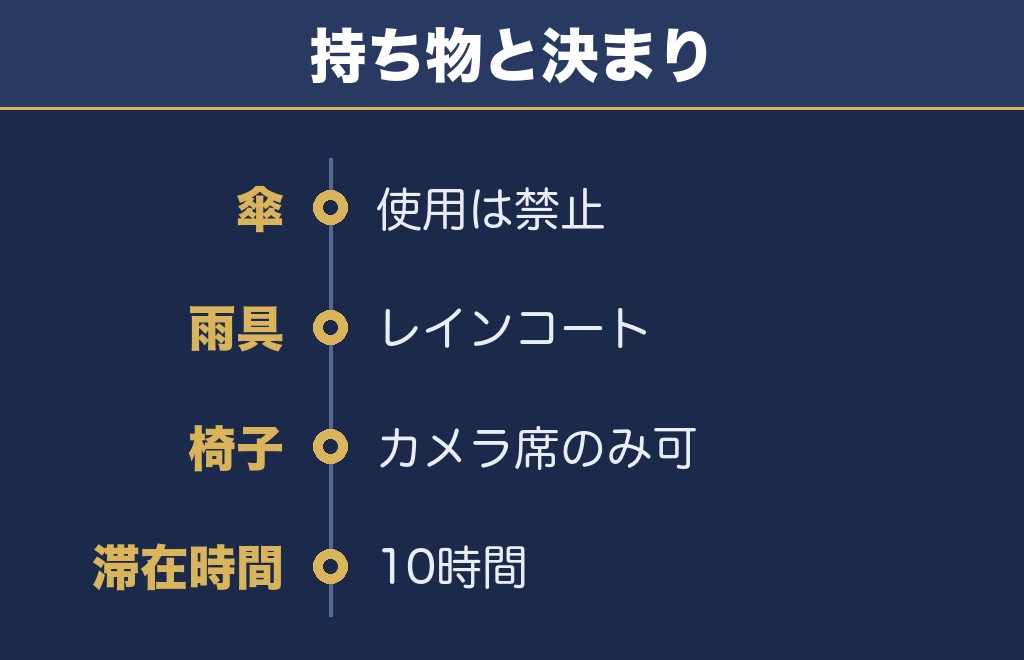 にし阿波の花火2026の当日に必要な備え