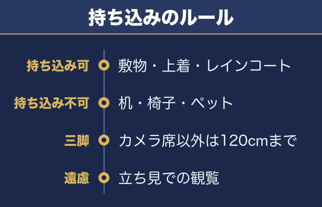 沼田花火大会2026の雨天中止・持ち物・混雑対策