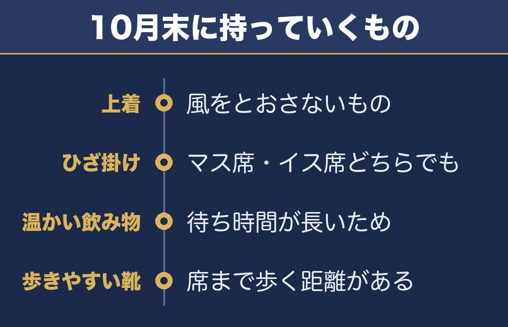 豊田おいでんまつり花火大会2027の持ち物は10月末の寒さに合わせて