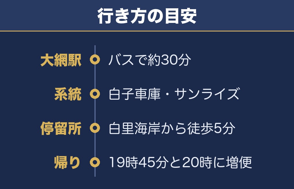 おおあみしらさとの花火2026の行き方は大網駅からバスで約30分