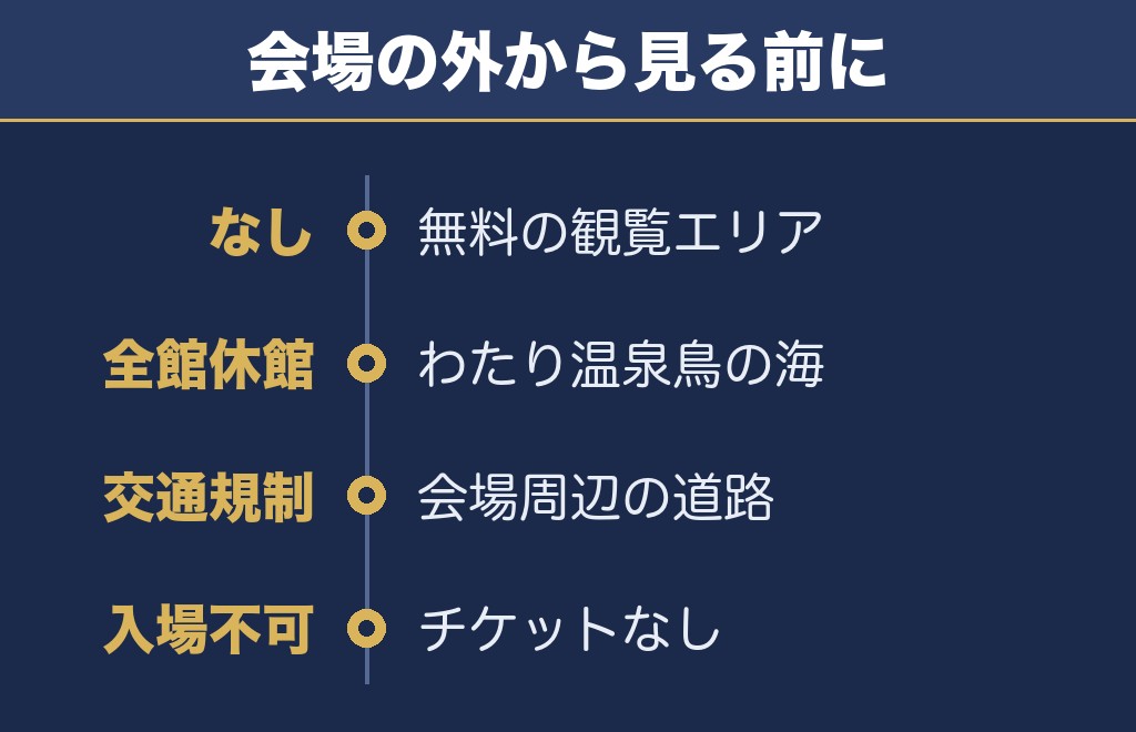 東北未来芸術花火2026を無料で見られる場所と穴場の注意点