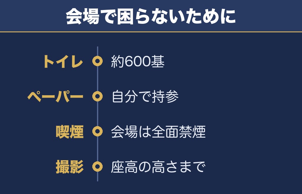 土浦花火大会2026の混雑と会場での過ごし方