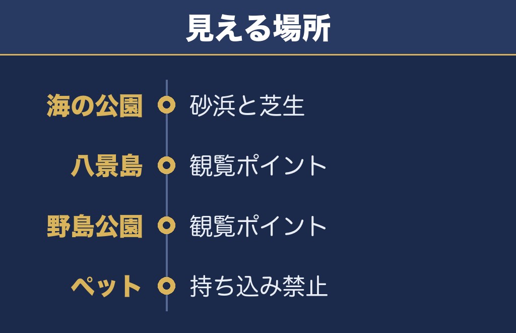 金沢まつり花火大会の会場は海の公園